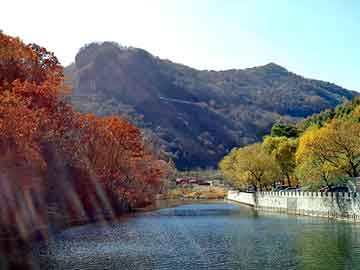 管家婆黑白马报图库，柴油涨价